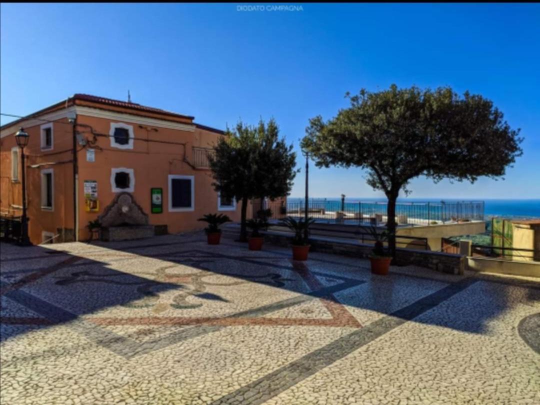 Santa Domenica TalaoLa Rocca Dei Borboni住宿加早餐旅馆 外观 照片